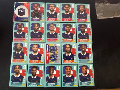 Panini 2026 sticker - wm,