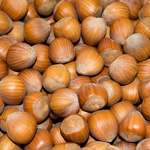 Haselnüsse schale aus - haselnüsse,