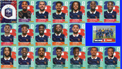 Panini 2026 sticker team - wm,